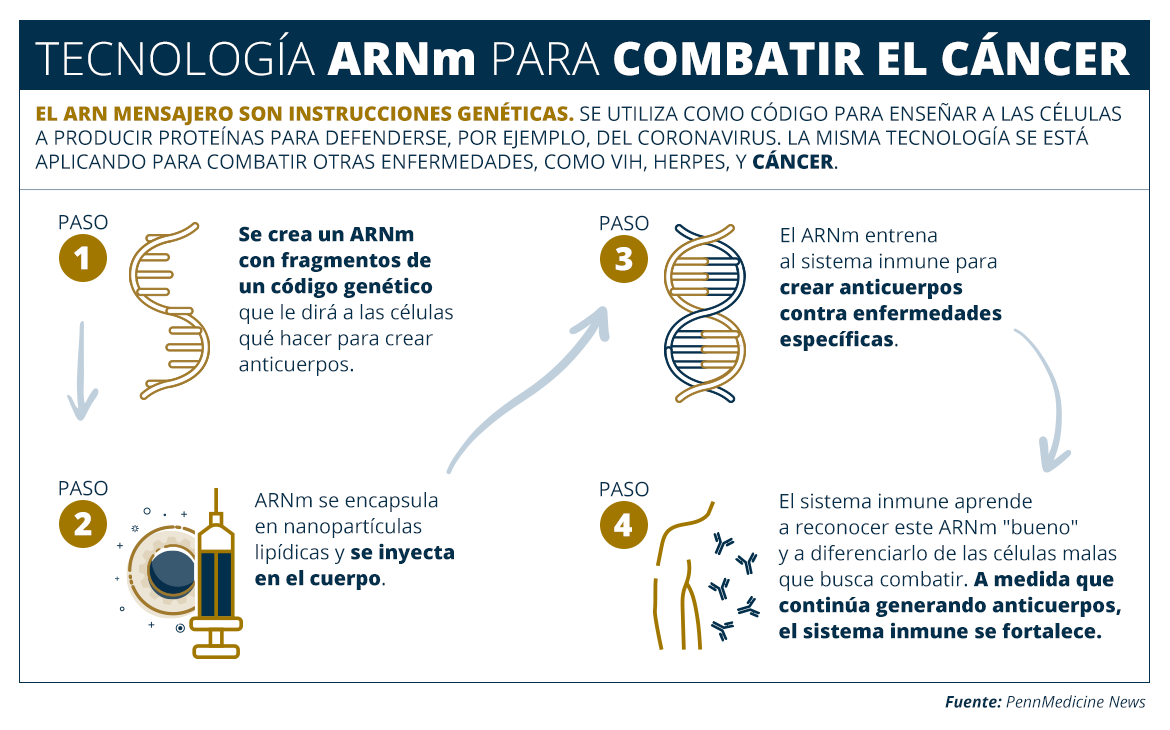 Función en una vacuna de ARNm y cómo funciona en el cuerpo humano para combatir enfermedades