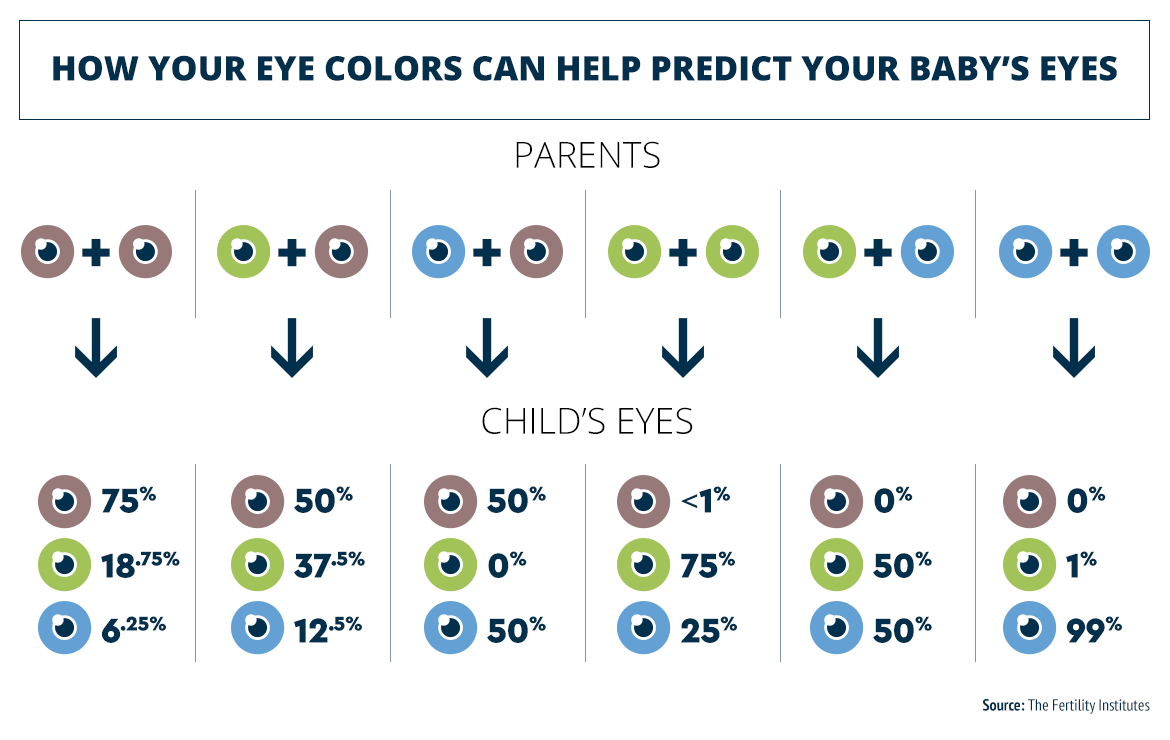 Brown Eye Blue Eye Genetics Chart