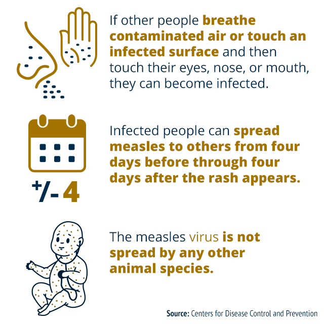 preventing the spread of measles 
