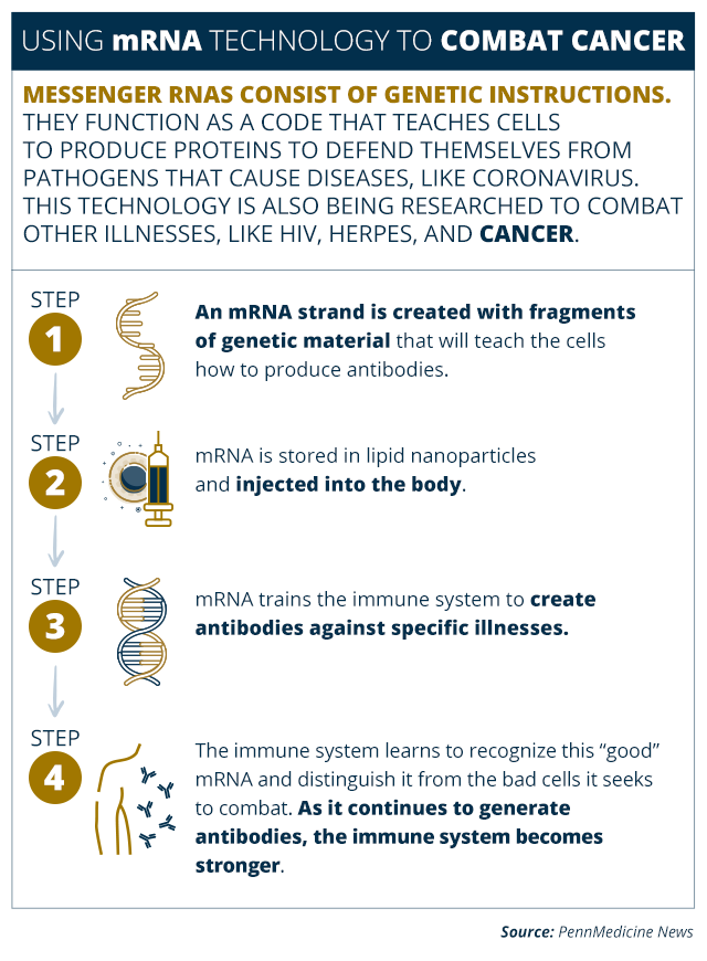 Function on an mRNA vaccine and how it works in the human body to fight illnesses