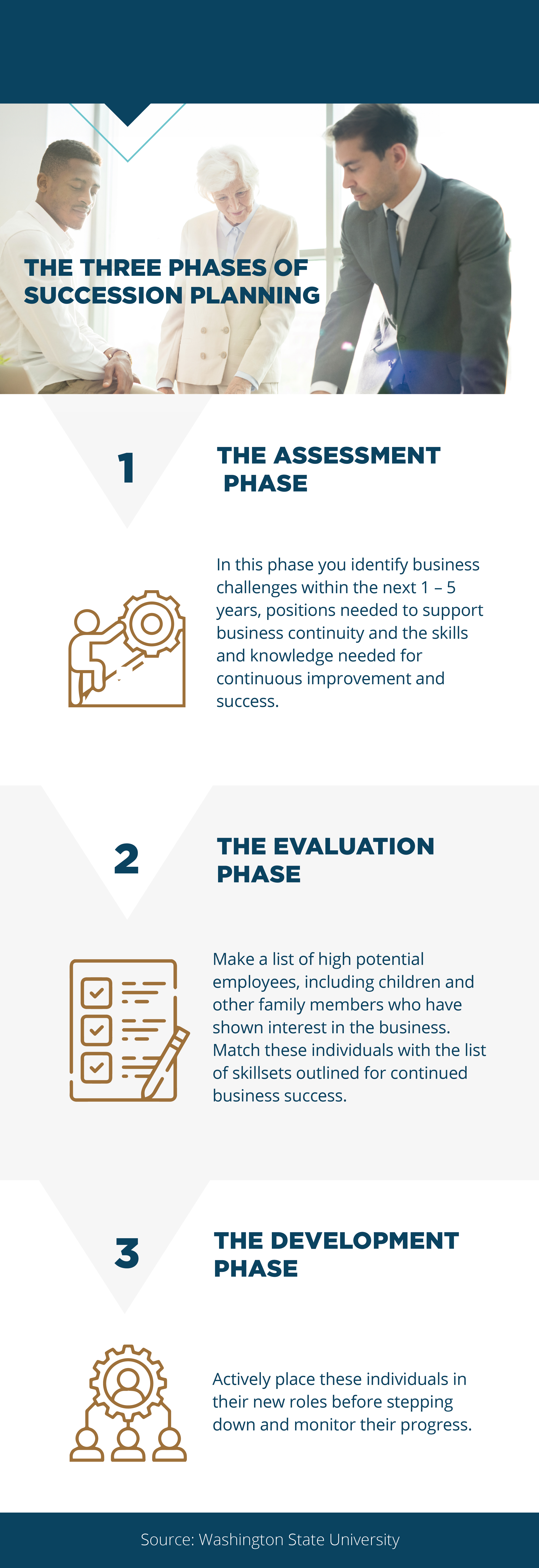 The three phases of succession planning for an organization