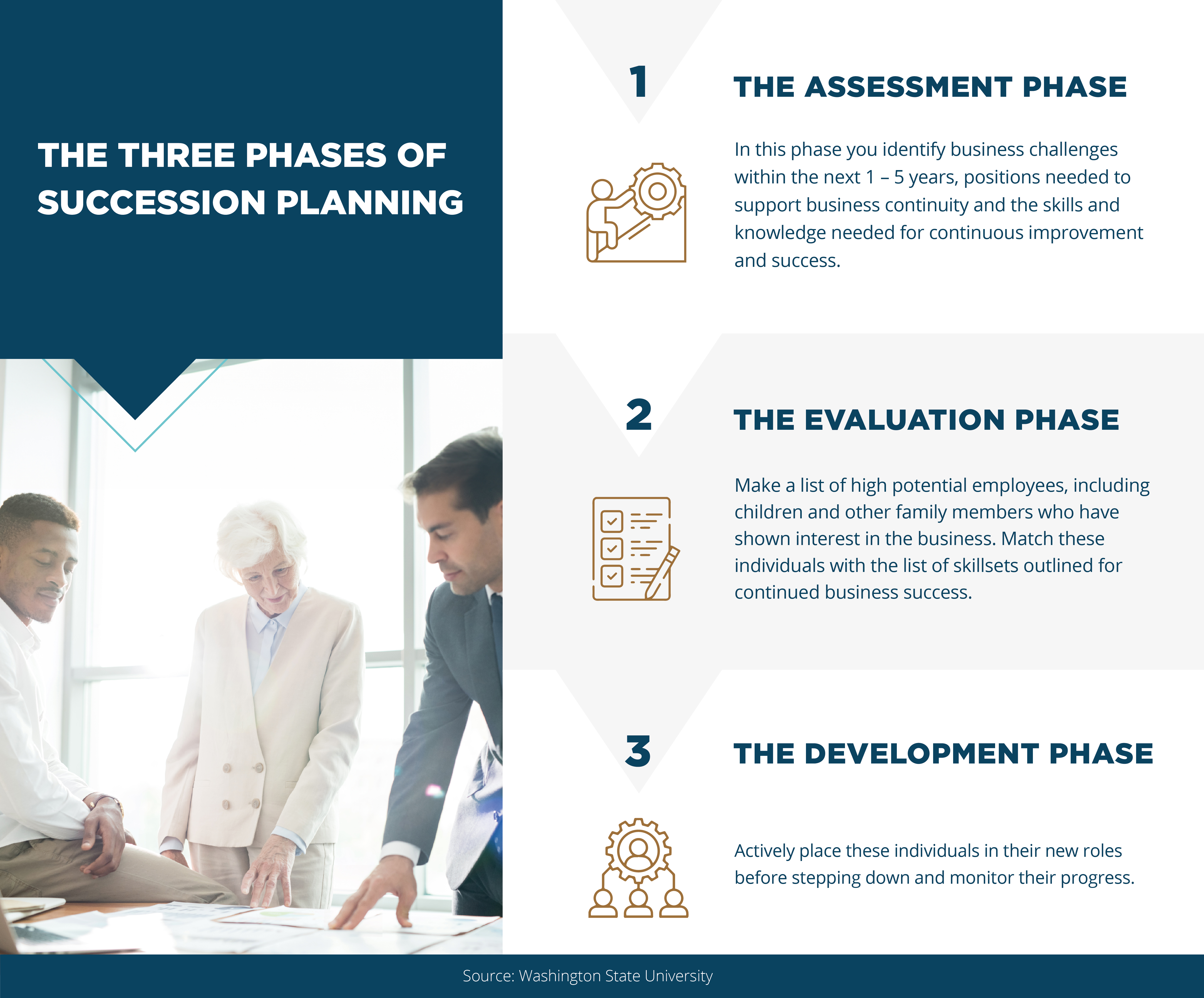 The three phases of succession planning for an organization