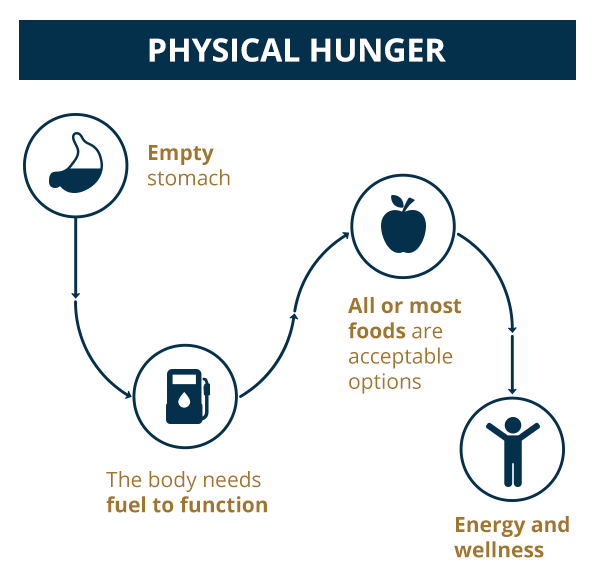 Infographic - Physiological Hunger characteristics