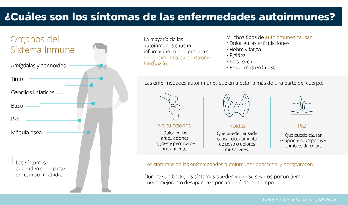 Icono de cuerpo masculino con explicaciones e identificaciones del sistema inmunológico y cómo funciona en el cuerpo humano