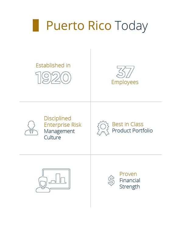 PALIG Puerto Rico infographic
